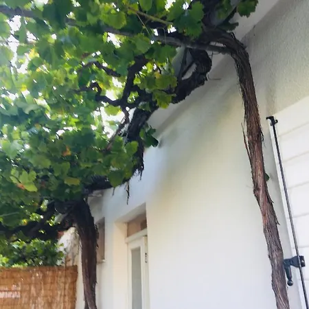 Holiday home Casa Bianca Sukosan