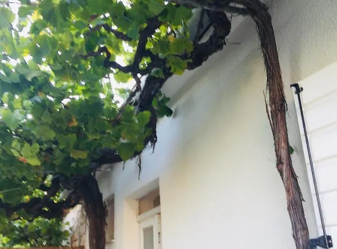 Nyaraló Casa Bianca Sukošan