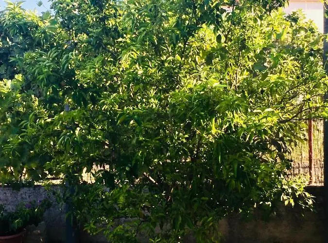 Casa Bianca * Sukošan